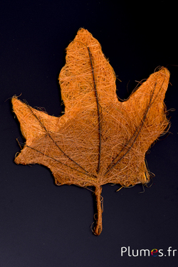 Feuille d'érable en sisal - 18 x 24 cm - orange